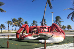 aracaju-lagoa-dos-tambaquis